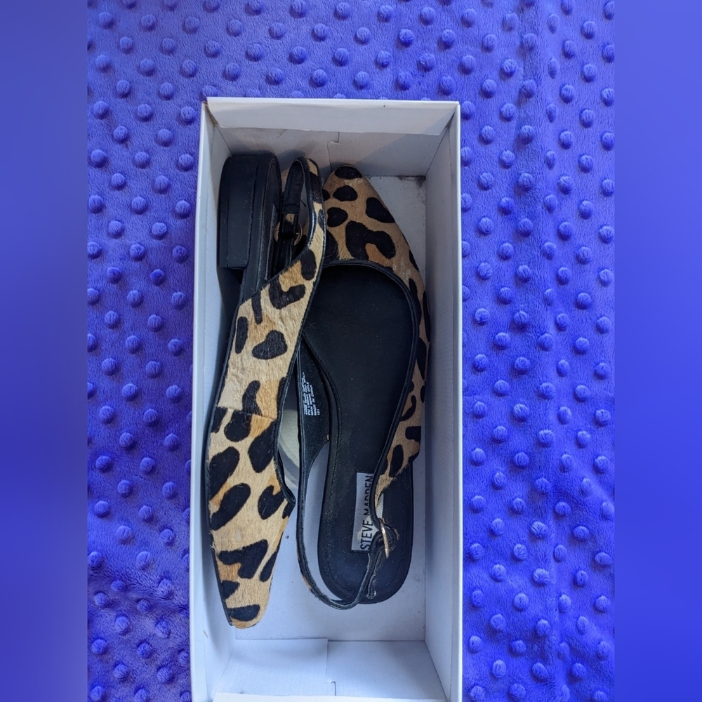 Steve Madden daafy leopard flats
